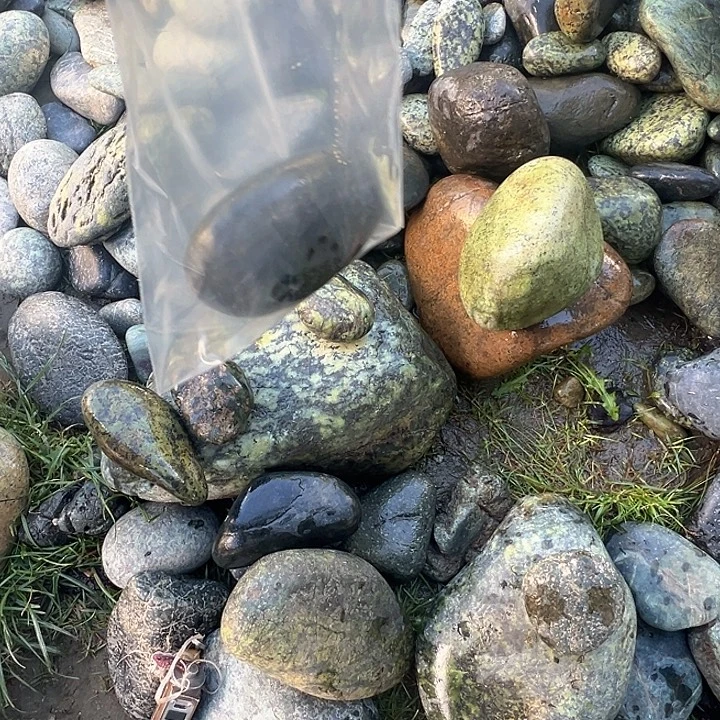 花***言蛇纹石玉未镶嵌西藏藏玉药王石