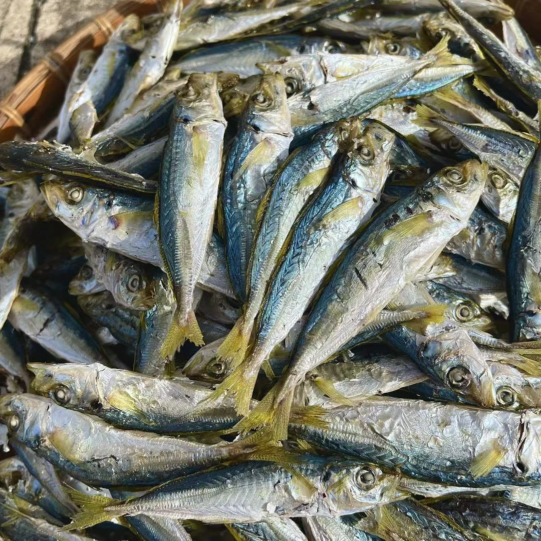 湖东本港新巴浪鱼干