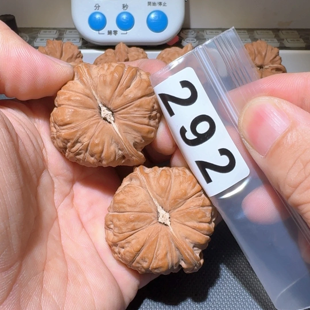 疯***豆把件文玩核桃南瓜43