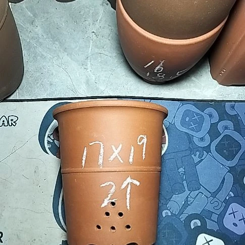 红泥腰缠万贯两个微瑕