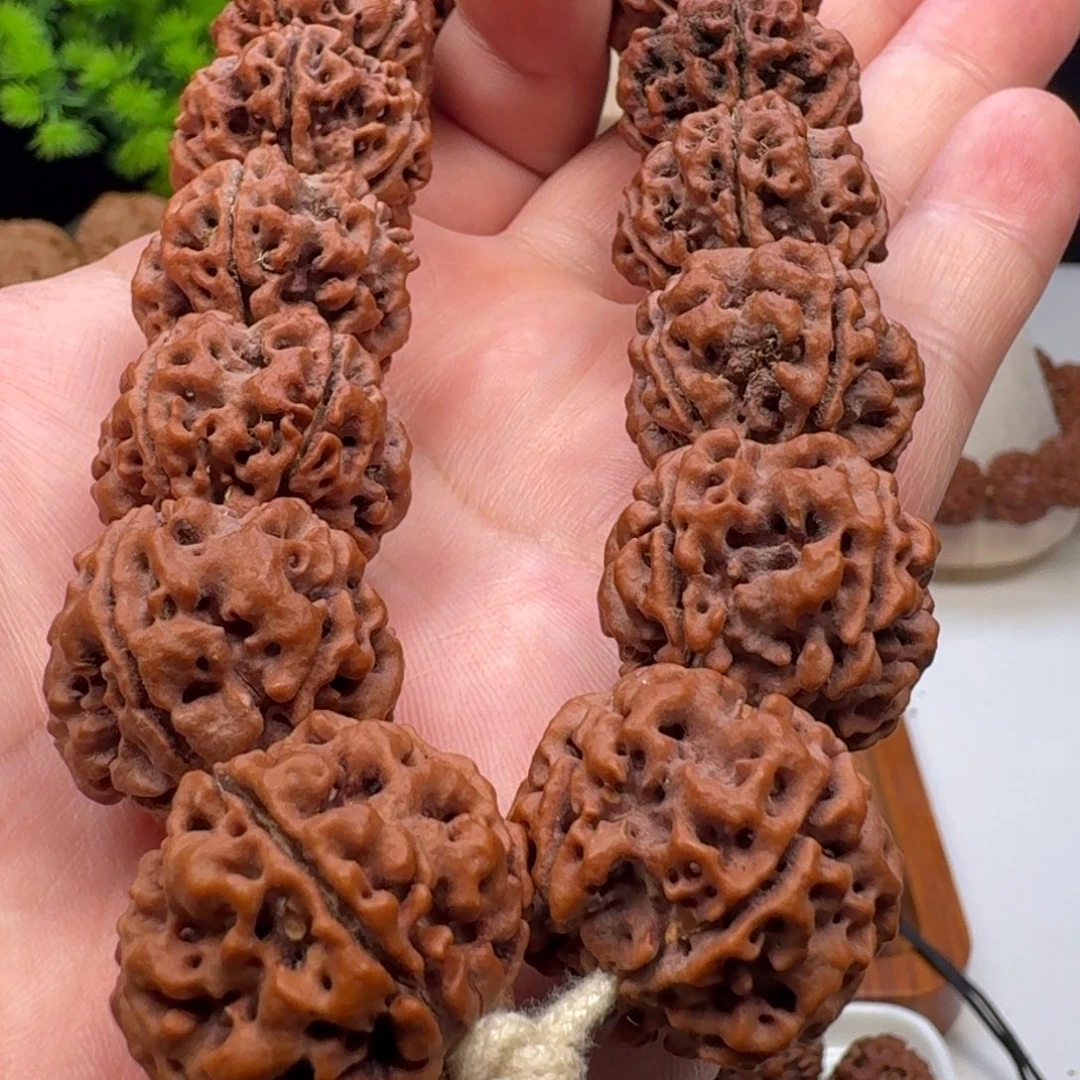 手串金刚菩提粗筋蜂王