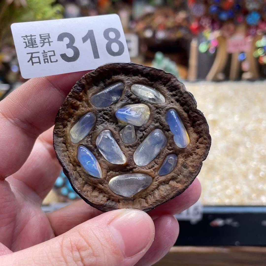 核桃木/黑胡桃（胡桃木）318