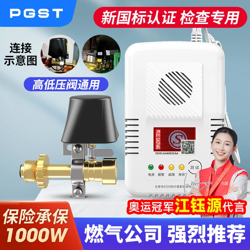 PGST燃气泄漏报警器电磁切断阀家用厨房天然气液化气煤气自动切断