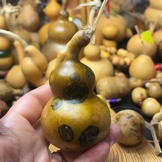 哎**去葫芦葫芦葫芦葫芦