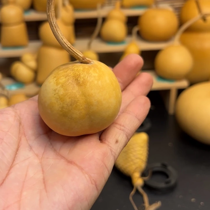 S**?葫芦葫芦葫芦葫芦葫芦葫芦