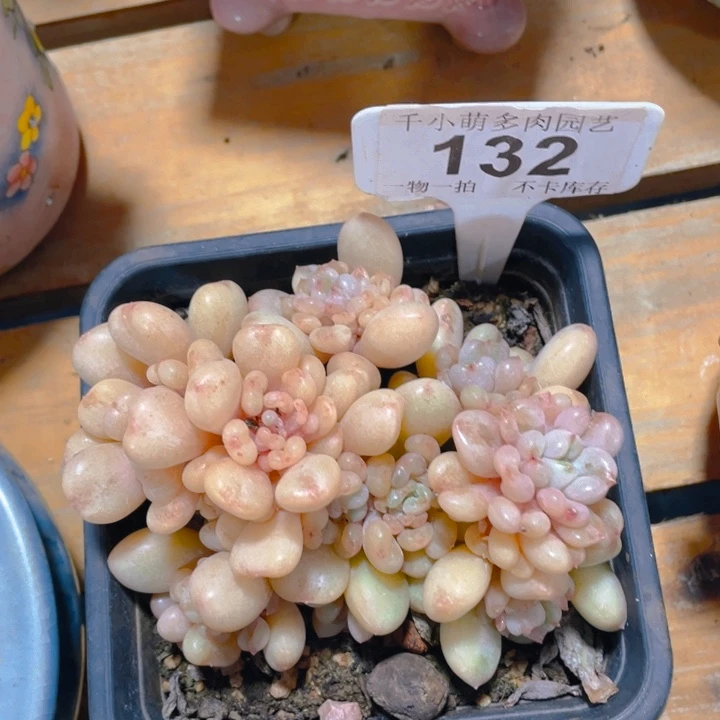 谢谢你的支持0000132