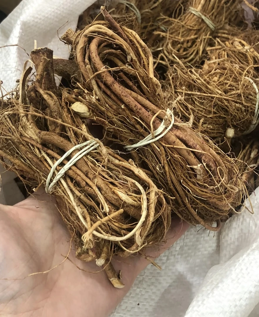 深山挖取正宗生晒黄花榴莲五指毛桃特产好食材白切鸡乡村水蜈蚣