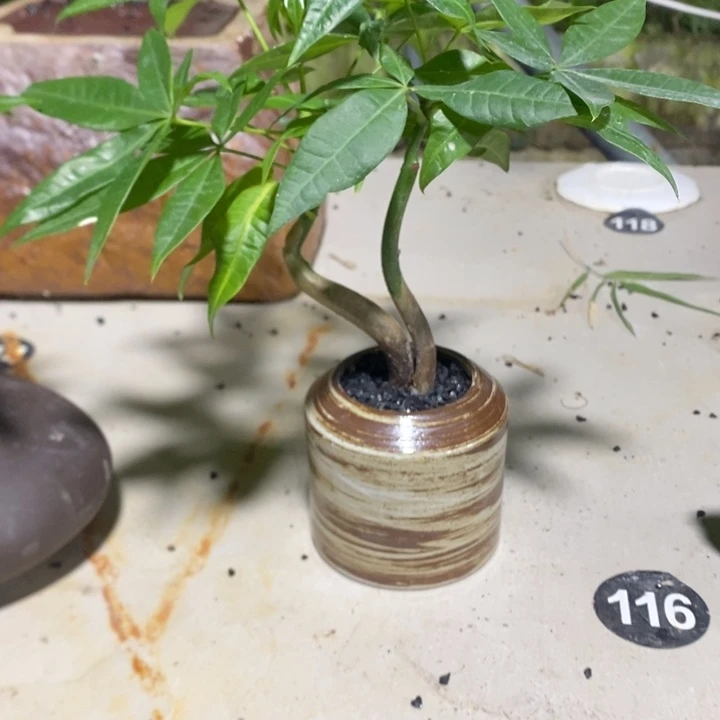 米***禾无花朵退款拉黑拉黑46
