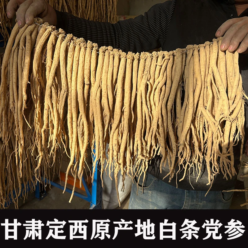 【7成干中大条】新鲜柔货甘肃定西原产地白条党参无硫熏煲汤泡水