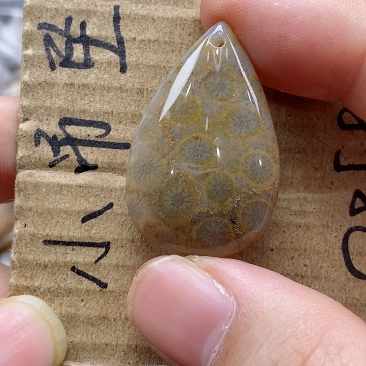 硅化珊瑚（珊瑚玉）颈饰未镶嵌s****a