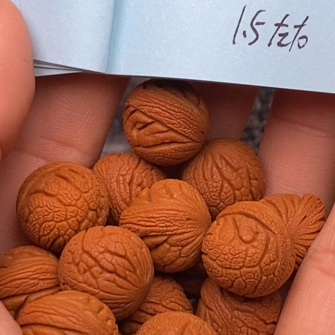 秦岭山脉桃核17k