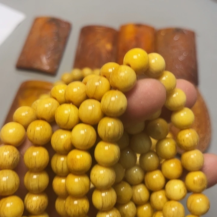 大果紫檀（缅甸花梨）