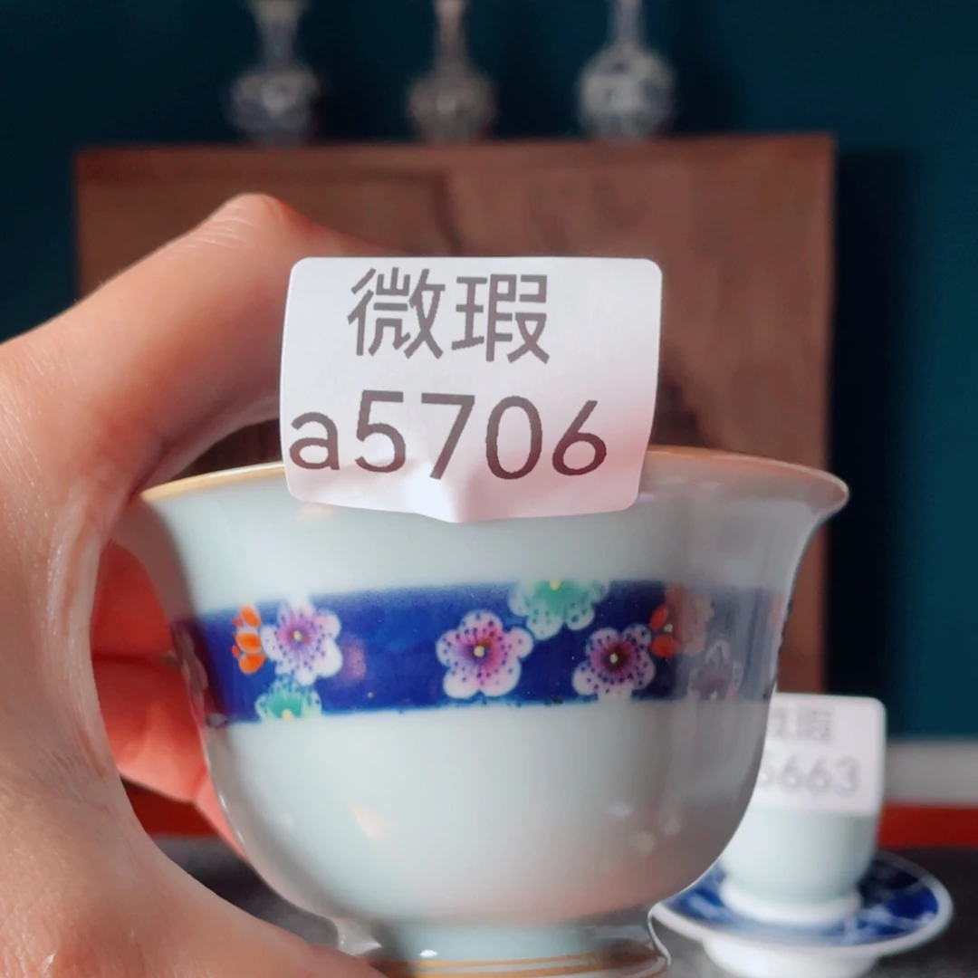 5665996669966866656656