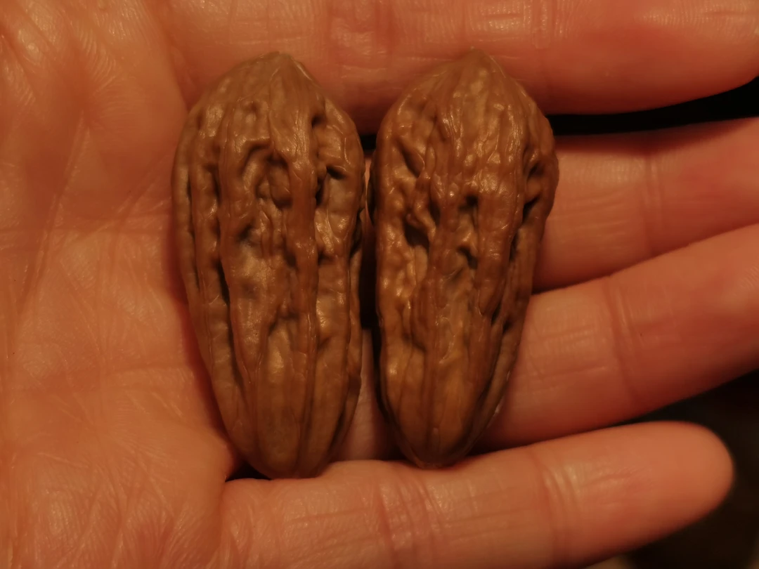 东北野生秋子核桃（老树瓜条）