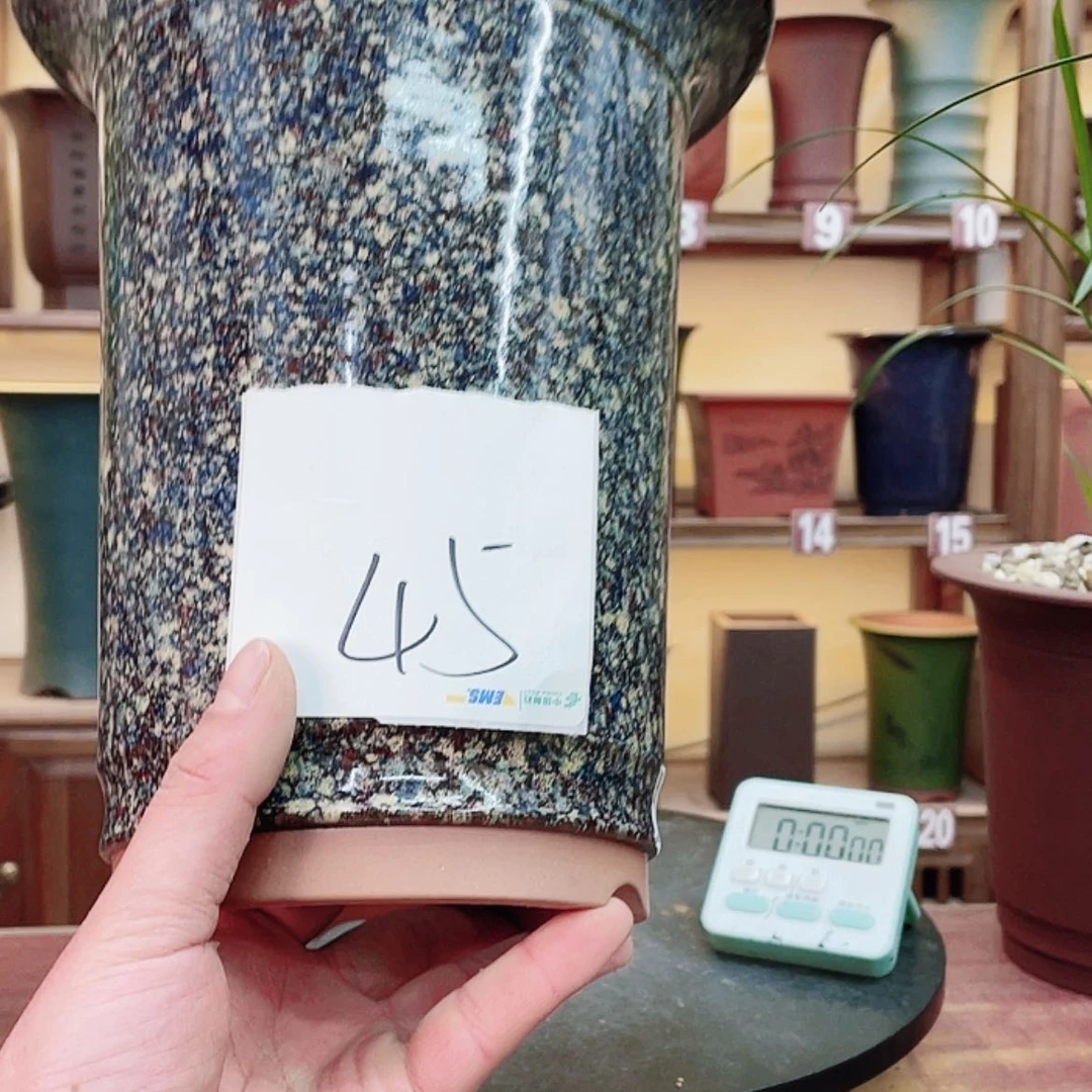 【闪购商品】紫砂花盆?****里兰花455588855555875255