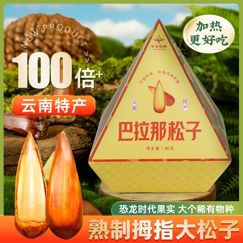 巴拉那松子云南特产新货大颗坚果干果原味休闲零食独立包装80g/盒