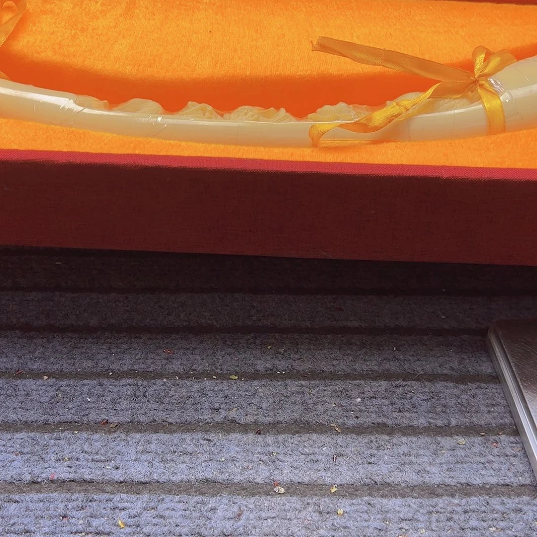 混***牛大果紫檀（缅甸花梨）001