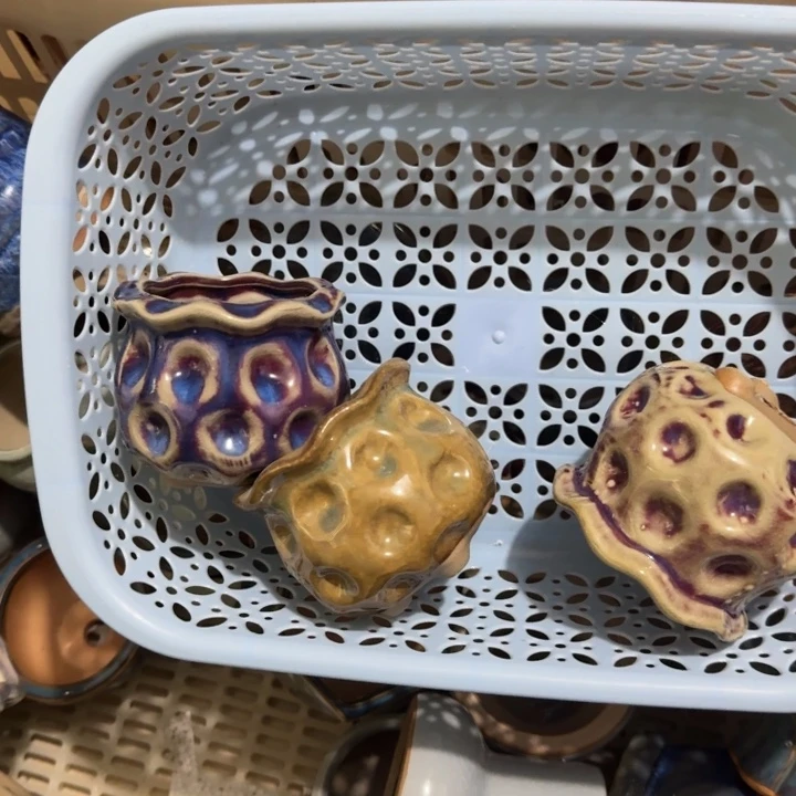 花盆花盆花盆花盆