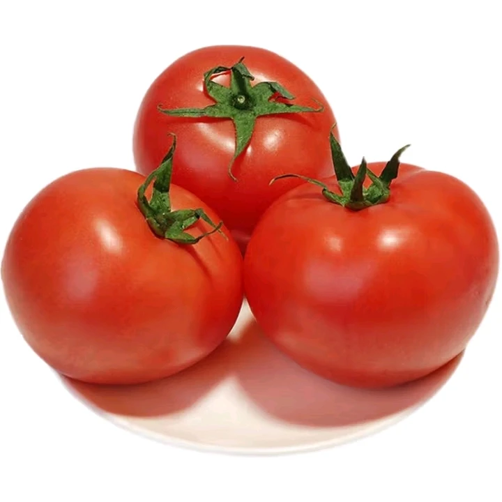 佤乡山货推荐【西红柿】山货特产