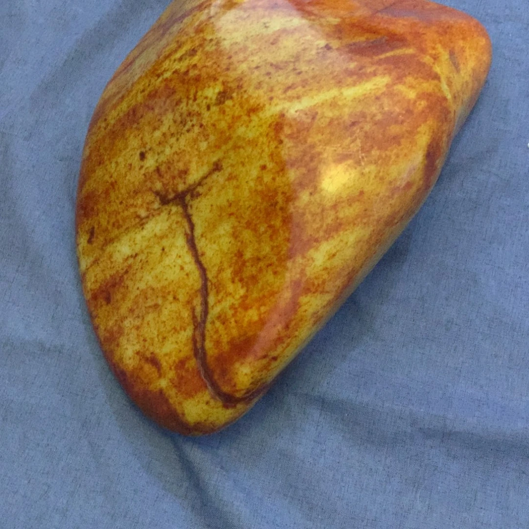 乐***堂和田玉未镶嵌颈饰