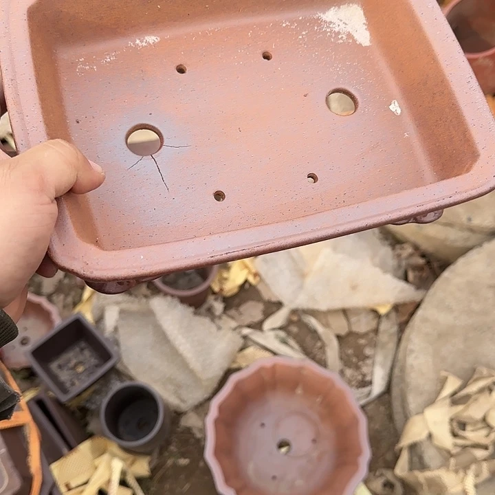 你是怎么说出这个问题我不信呢笑