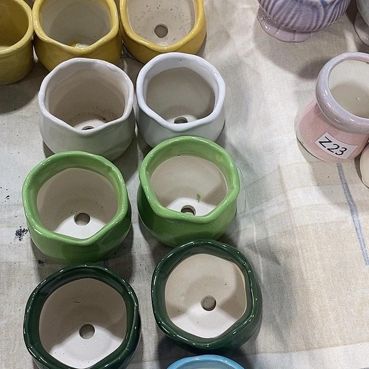 花盆抢购清货马上开始