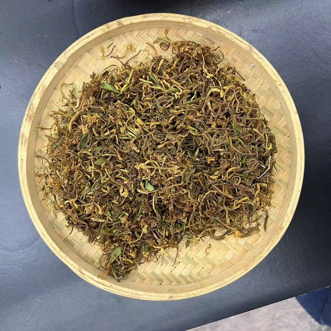 （直播）野生 金银花