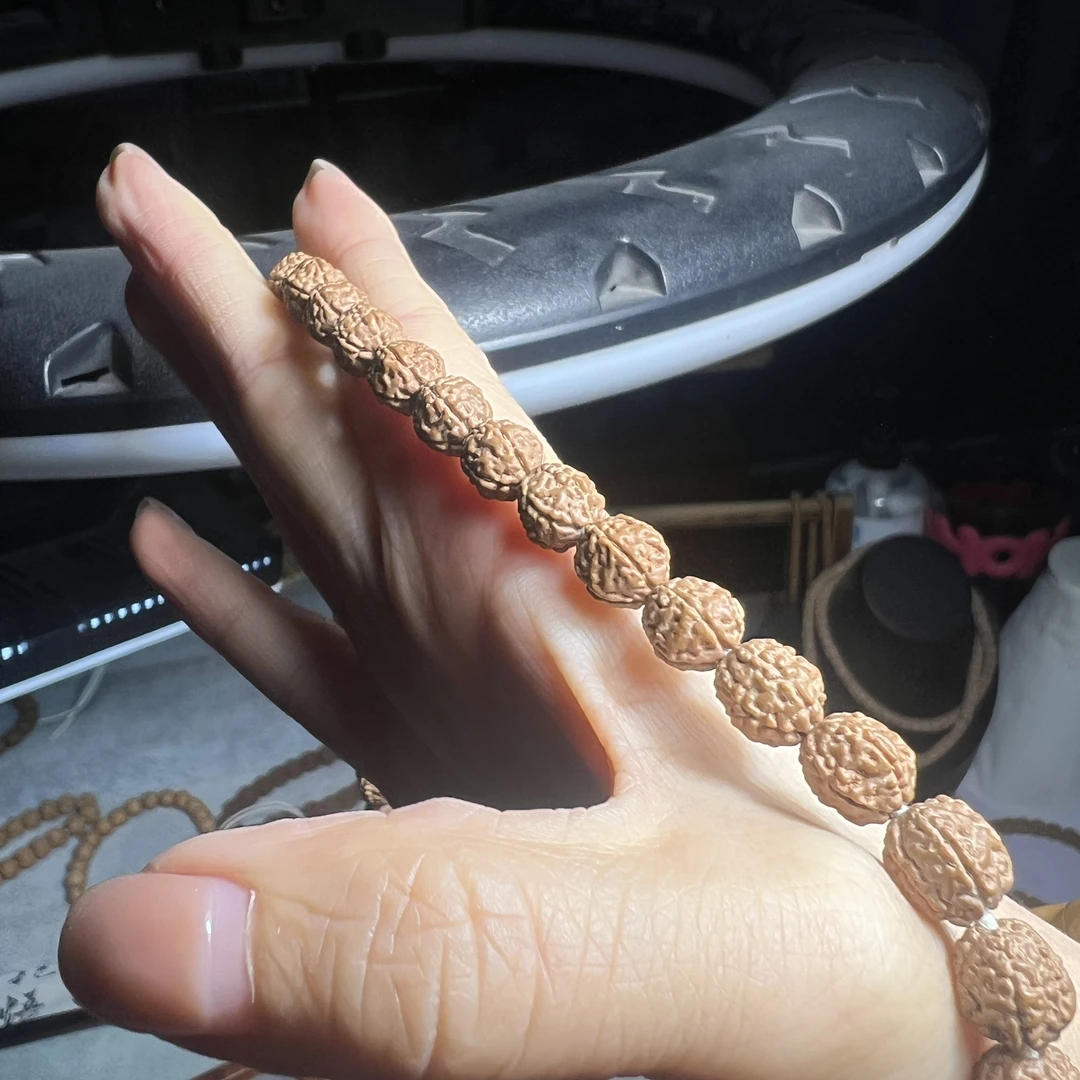 纯血原桩一代龙长串8mm左右+钢丝刷