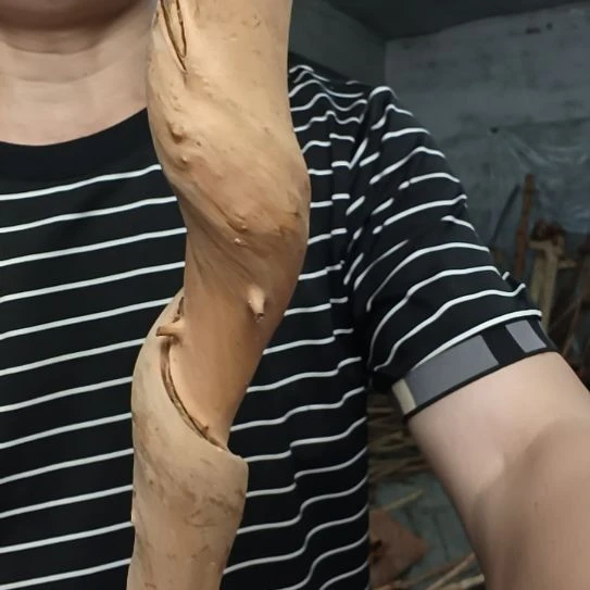 奥***鑫稳定木高山 檬子木文玩料
