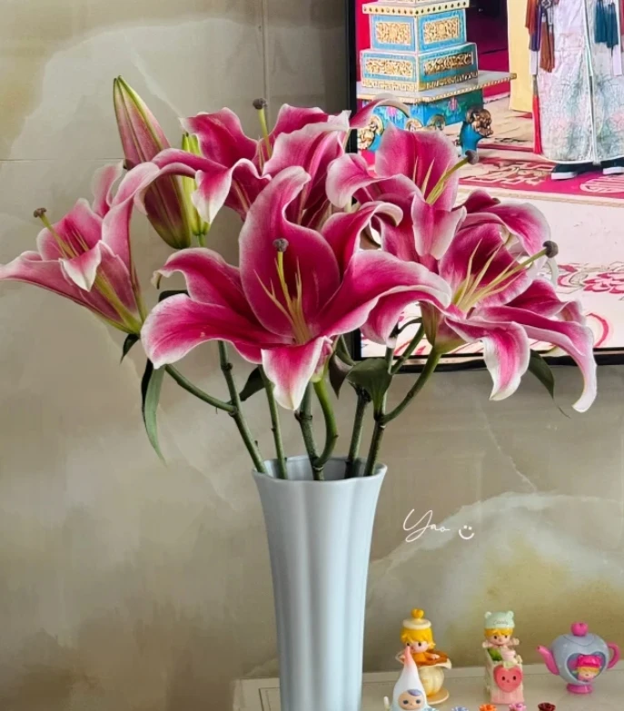 【微开口，介意勿拍】帕拉佐百合2头5枝 （10%-20%不赔付）