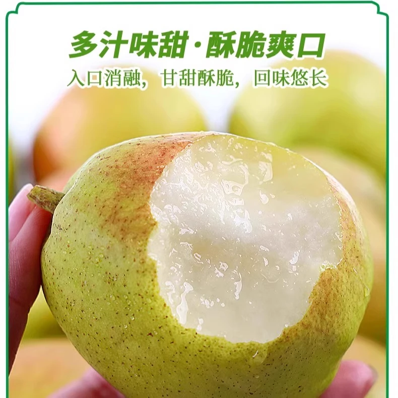 正宗新疆库尔勒香梨全母梨子薄皮新鲜孕妇儿童水果10斤整箱