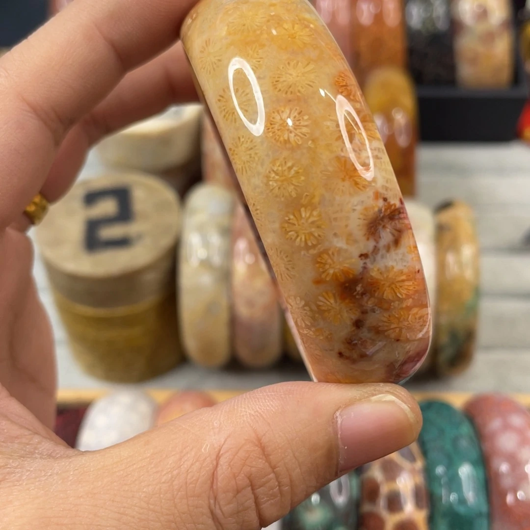 未镶嵌手镯硅化玉