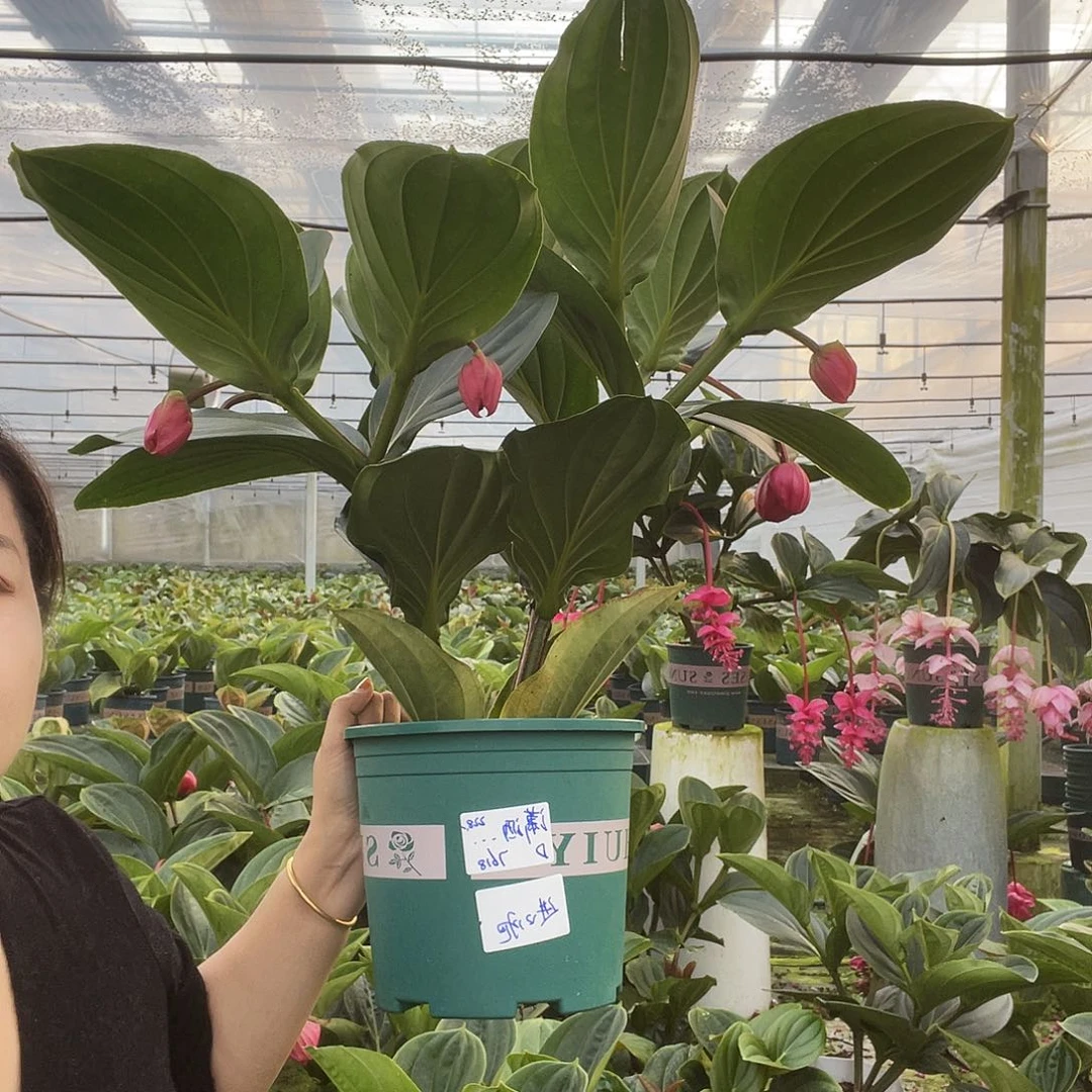 完全开放111111111