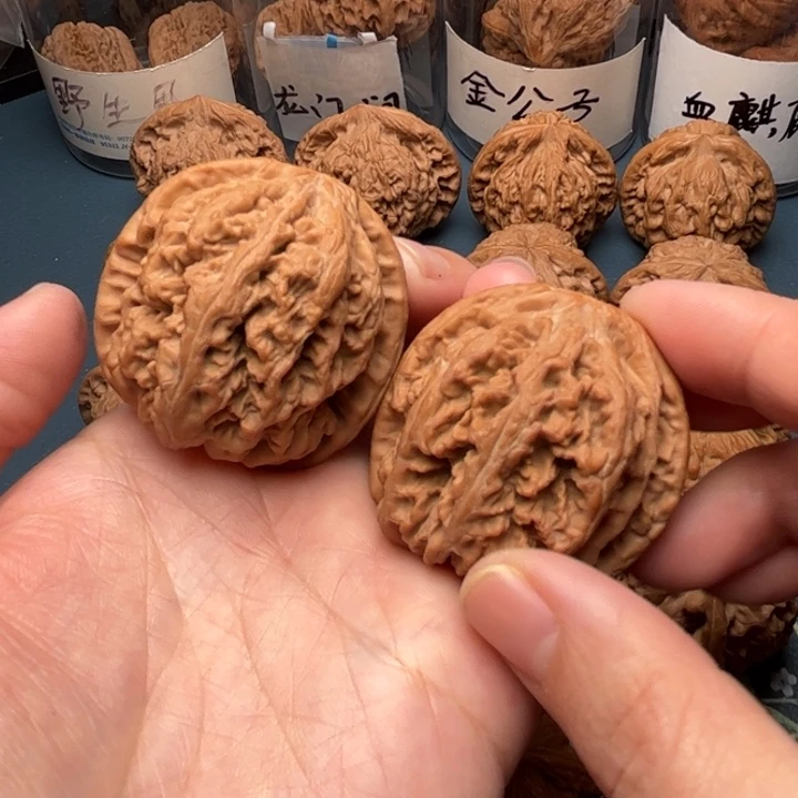 文玩核桃吊坠43大粗筋