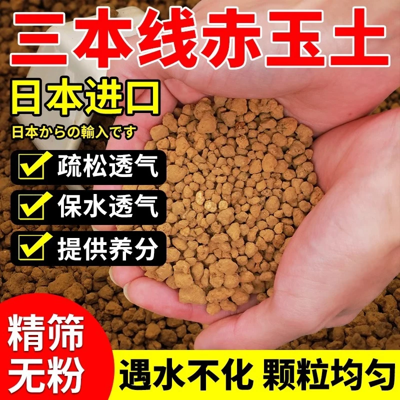 赤玉土日本原装二本线园艺盆栽用进口土多肉植物颗粒铺面营养土
