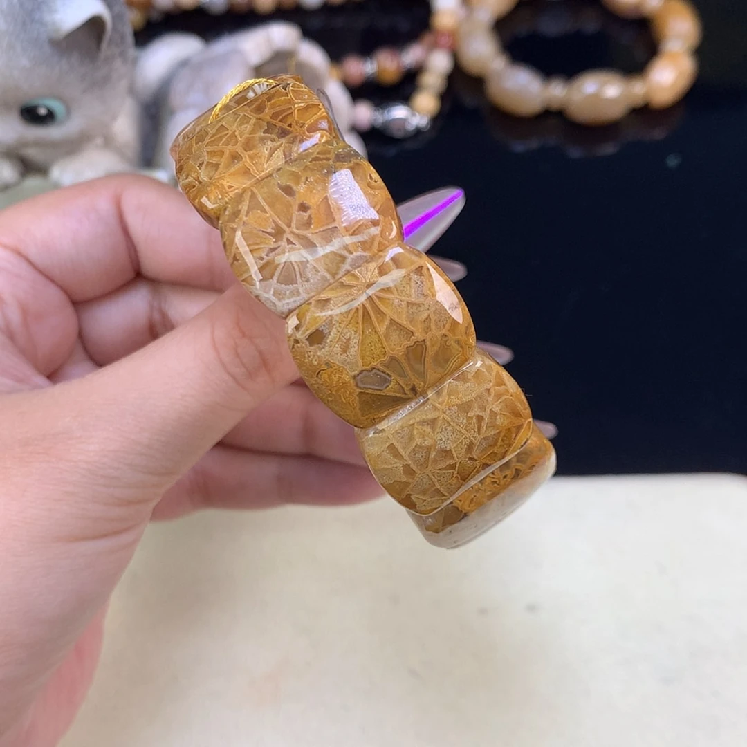 【闪购商品】颈饰未镶嵌硅化珊瑚（珊瑚玉）