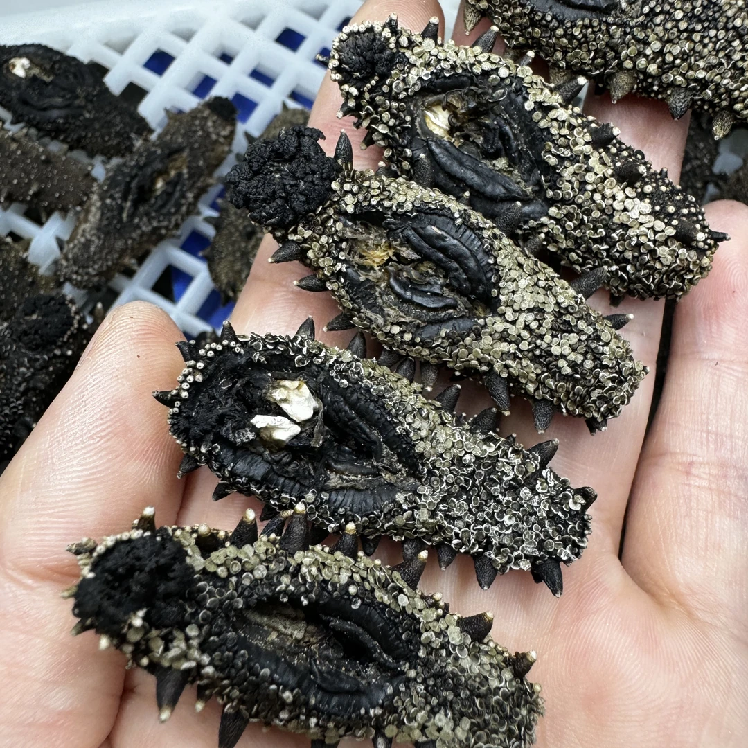 【正宗大连沙山海参】原产地精选深海底播海参辽刺参(100-130头/斤)
