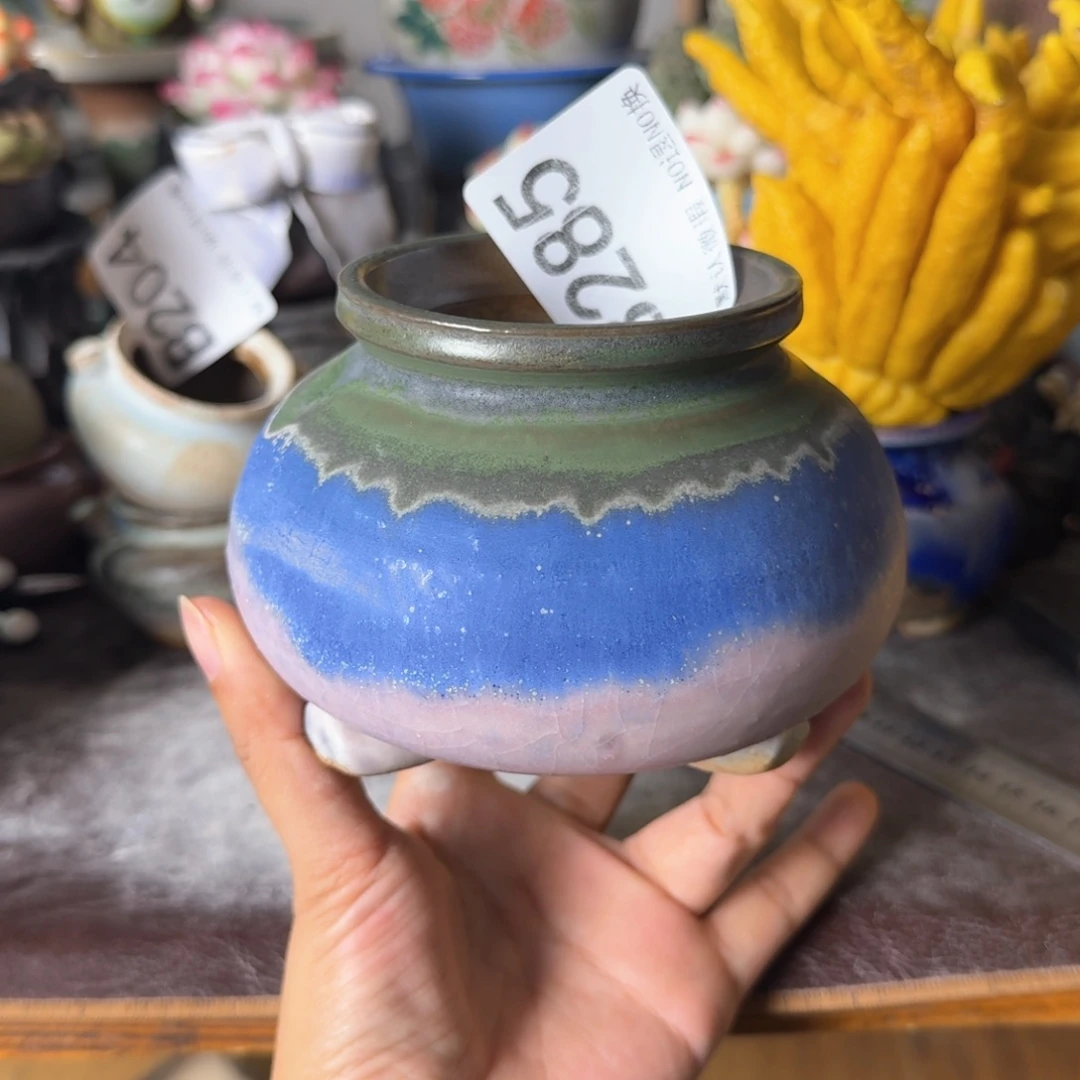 重庆小燕子欢迎大家285