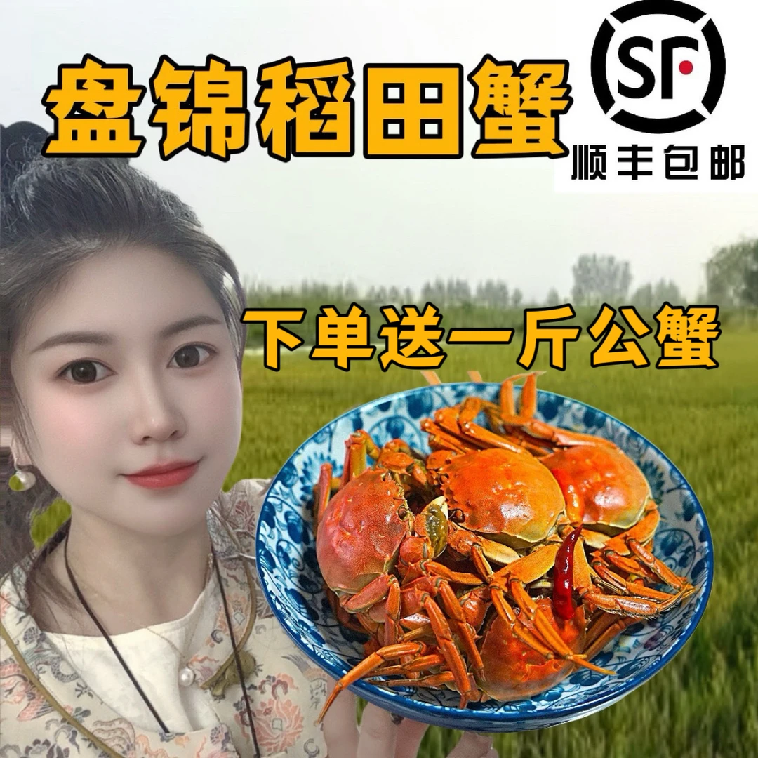 盘锦河蟹【活蟹】1-1.3两全母3斤（29只左右）在送1斤1-1.5两公