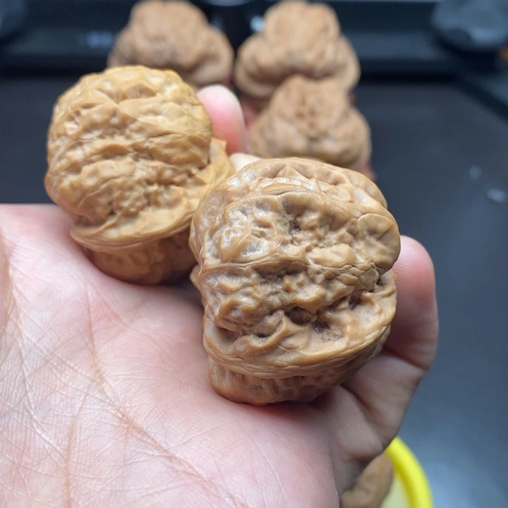 大漏38尺满肉蛤蟆头