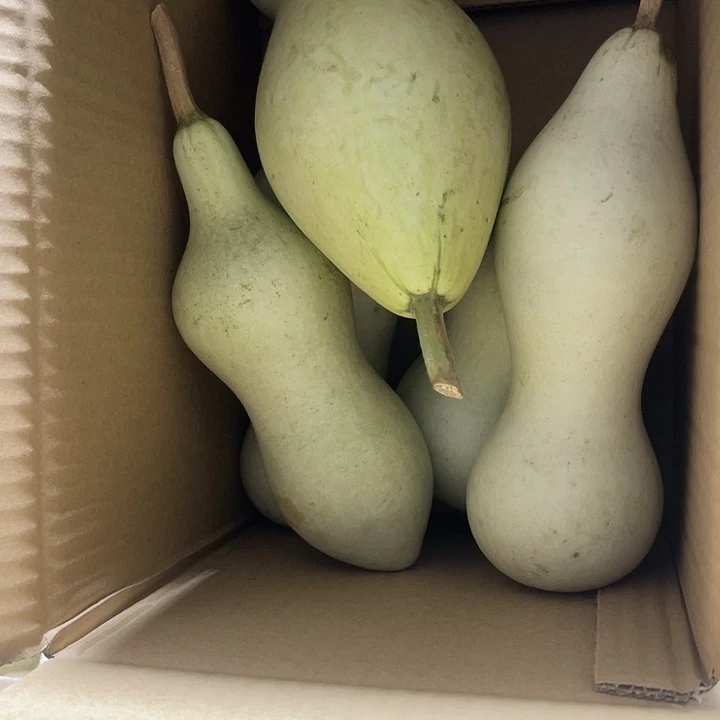 非洲紫檀（红花梨）用****9