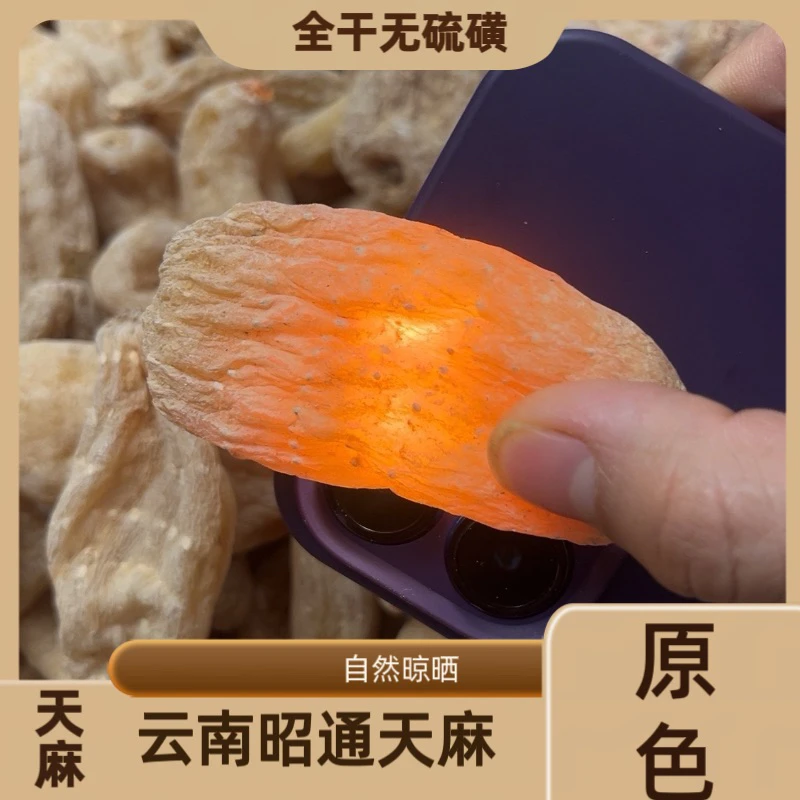 【中果天麻】云南昭通小草坝中果本色天麻可煲汤泡水食用