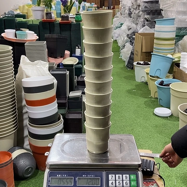 竹节口10高10白色10个无拖