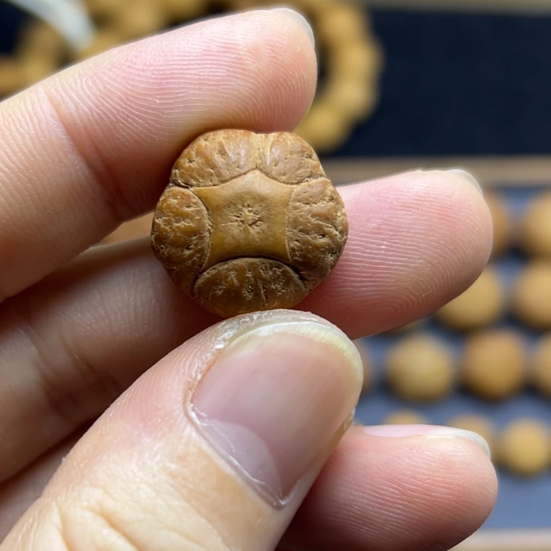 凤眼菩提手串18.9五星上将