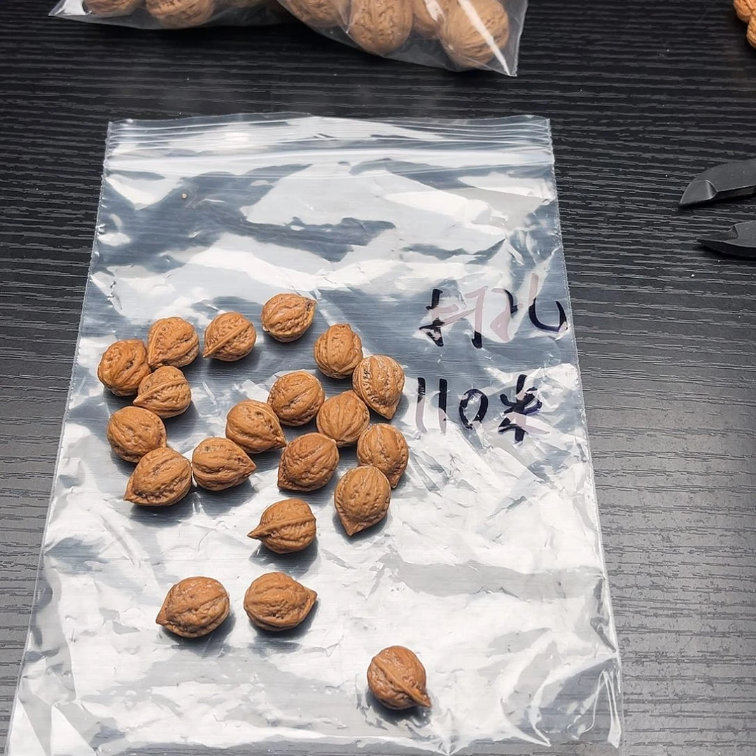 定制产品不退不换110