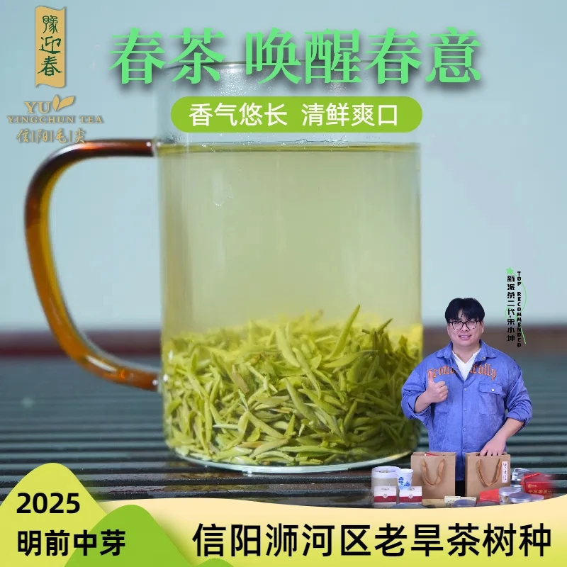 信阳毛尖2025明前中芽正宗信阳毛尖中芽高山龙潭村老旱茶