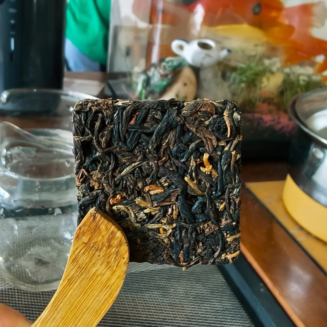 2023邦东古树晒红小方片