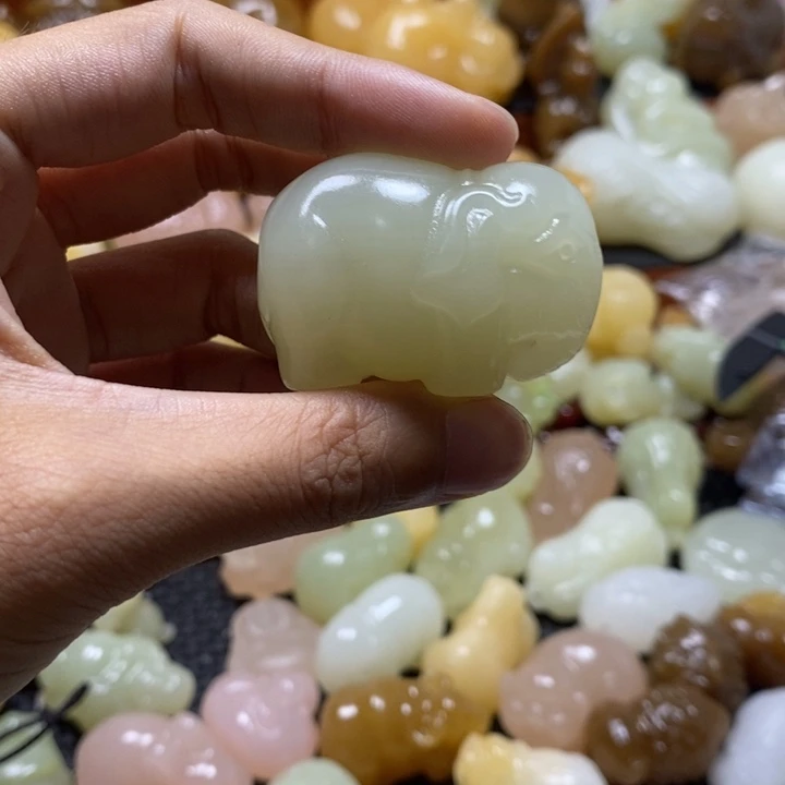 完全开放青色小象