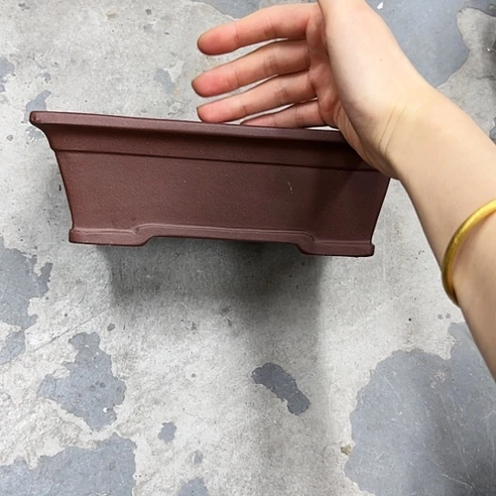 山**音紫砂花盆里都能放一