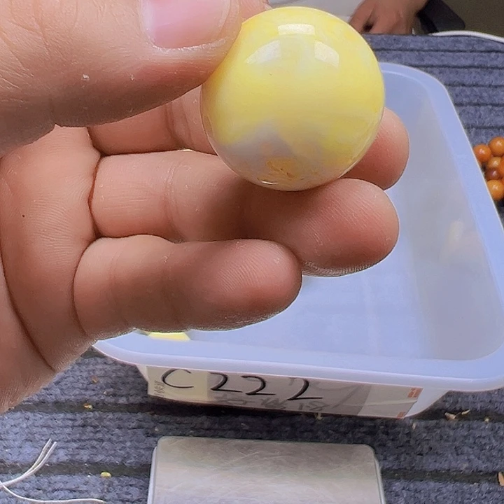 大果紫檀（缅甸花梨）C222